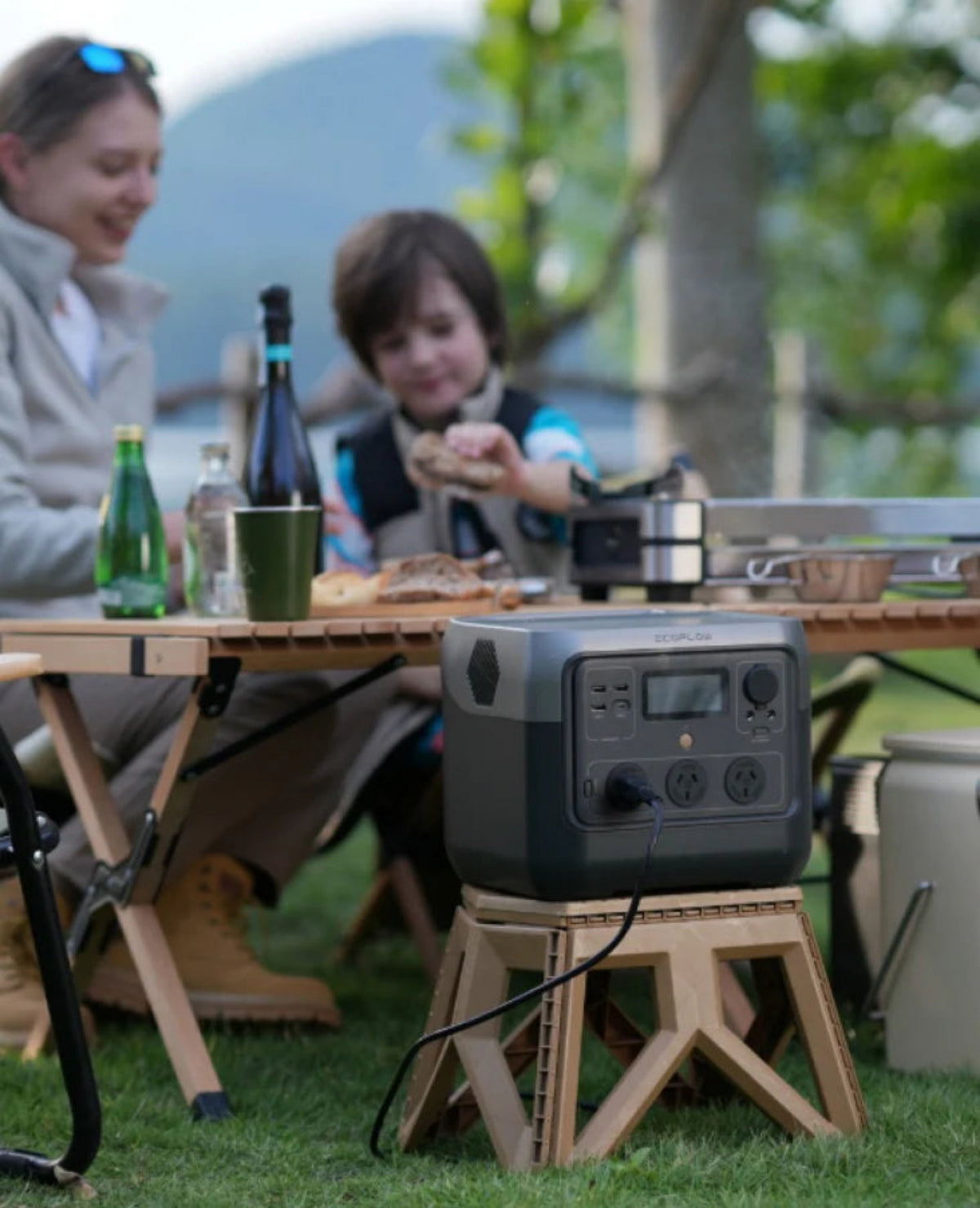 EcoFlow River 2 Pro Portable Power Station
