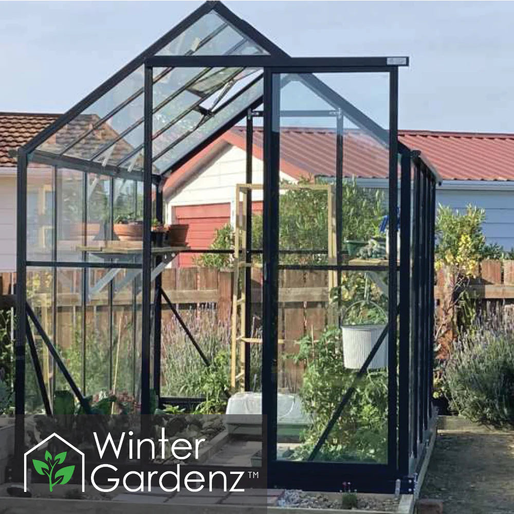 Winter Gardenz 6x10ft Glasshouse 4mm Toughened Glass