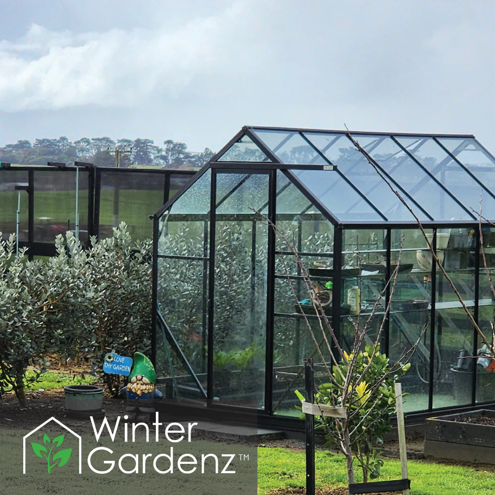 Winter Gardenz 6x10ft Glasshouse 4mm Toughened Glass