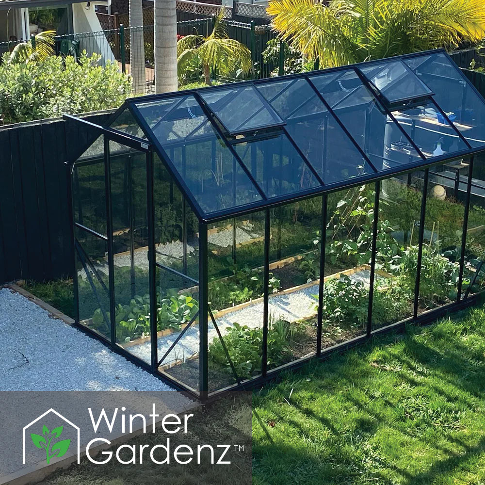 Winter Gardenz 6x12ft Glasshouse 4mm Toughened Glass