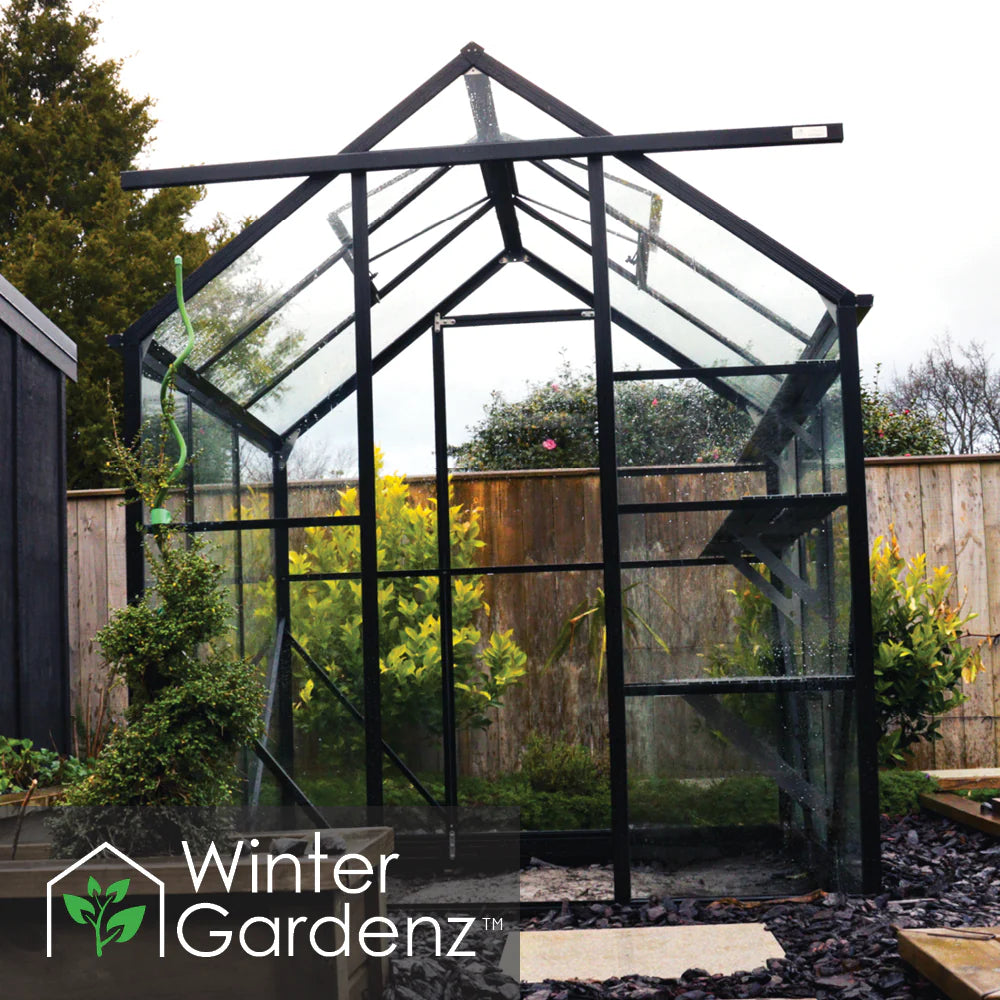 Winter Gardenz 6x6ft Glasshouse with 4mm Toughened Glass