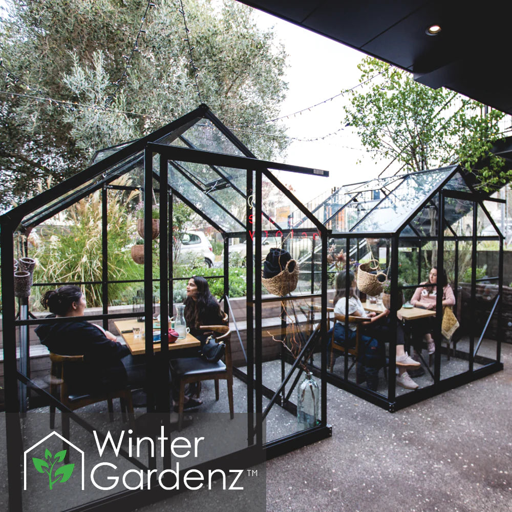 Winter Gardenz 6x6ft Glasshouse with 4mm Toughened Glass
