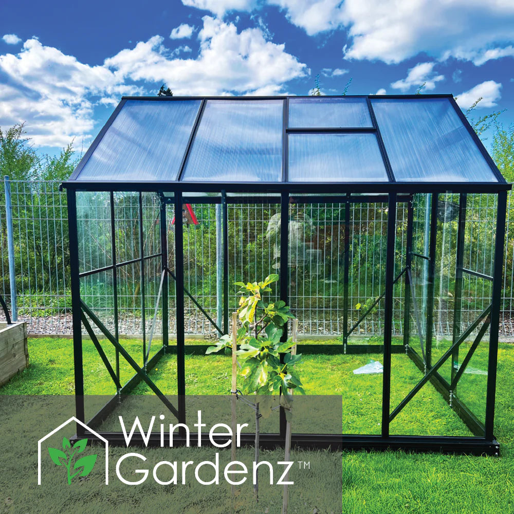 Winter Gardenz 6x8ft Glasshouse 4mm Toughened Glass