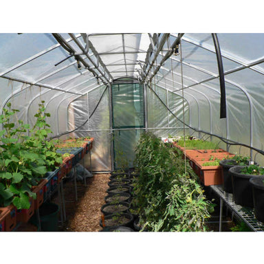 Adloheat Hot House Inside View With Plants
