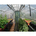 Adloheat Hot House Inside View With Plants