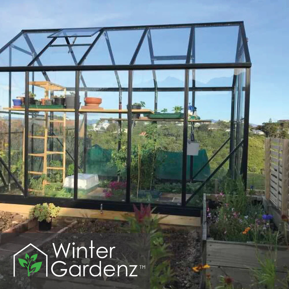 Winter Gardenz 6x10ft Glasshouse 4mm Toughened Glass, product photo 4
