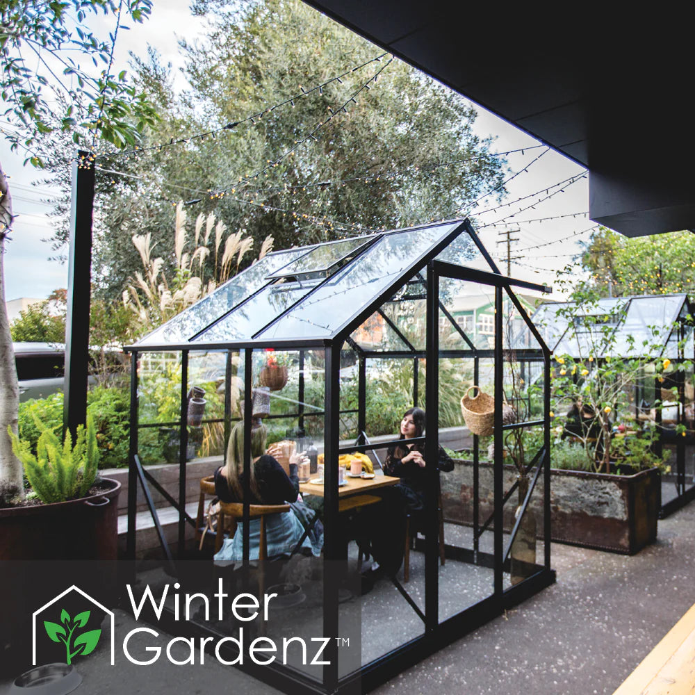 Winter Gardenz 6x6ft Glasshouse with 4mm Toughened Glass, product photo 4