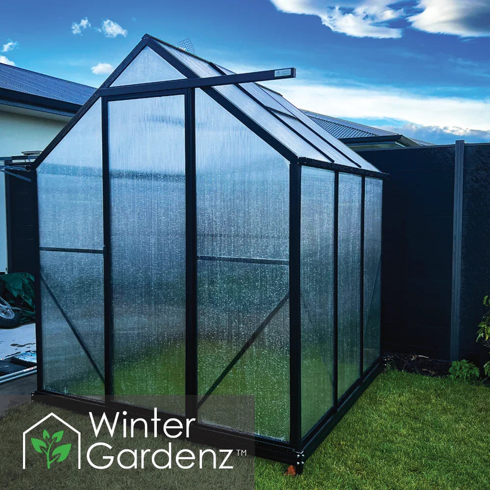 Winter Gardenz 6x6ft Greenhouse with 6mm Polycarbonate, product photo 3