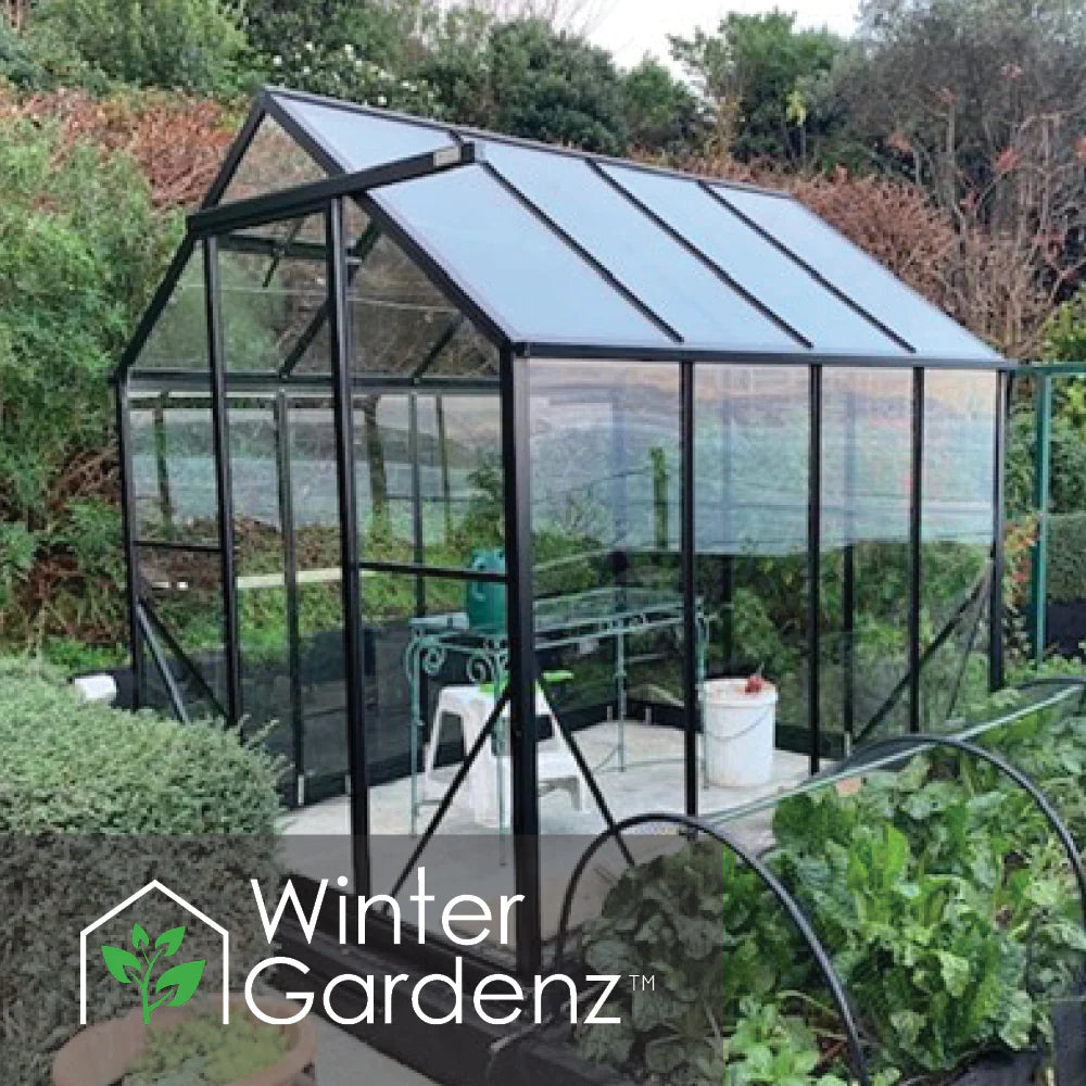 Winter Gardenz 6x8ft Glasshouse 4mm Toughened Glass, product photo 2