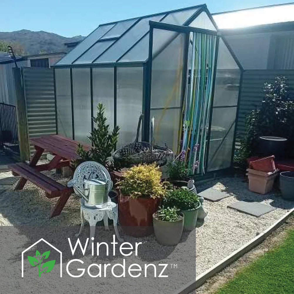 Winter Gardenz 6x8ft Glasshouse 4mm Toughened Glass, product photo 3